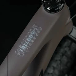 Santa Cruz Tallboy 5 C S -Equipement Vélo Populaire Magasin Santa Cruz 192219250113 20123431 Tallboy 5 C S 4iB1G55TtrjFPE